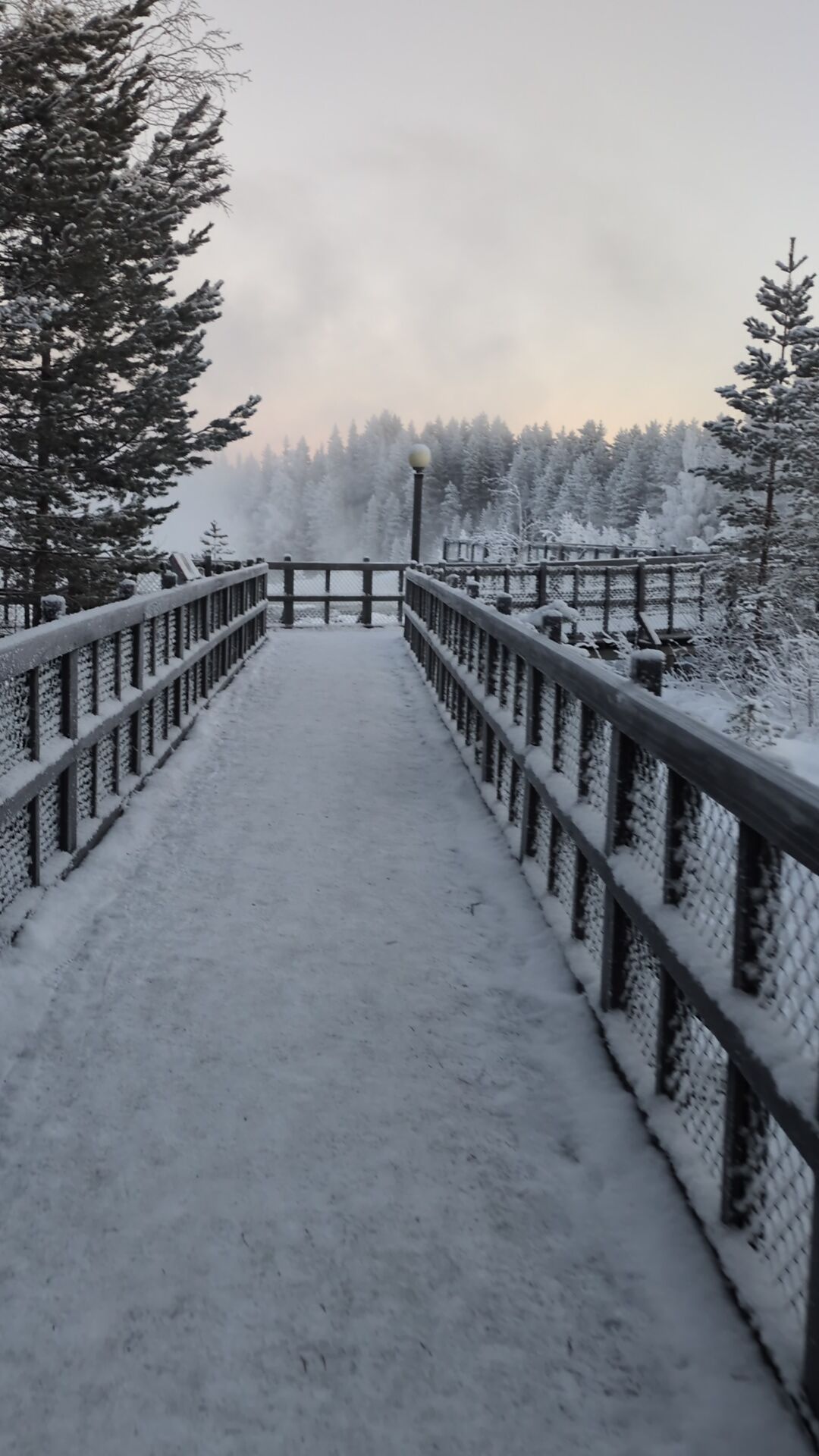 Storforsen Waterval Tour - Image 6